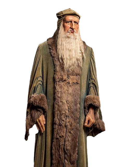 Portrait of Leonardo da Vinci