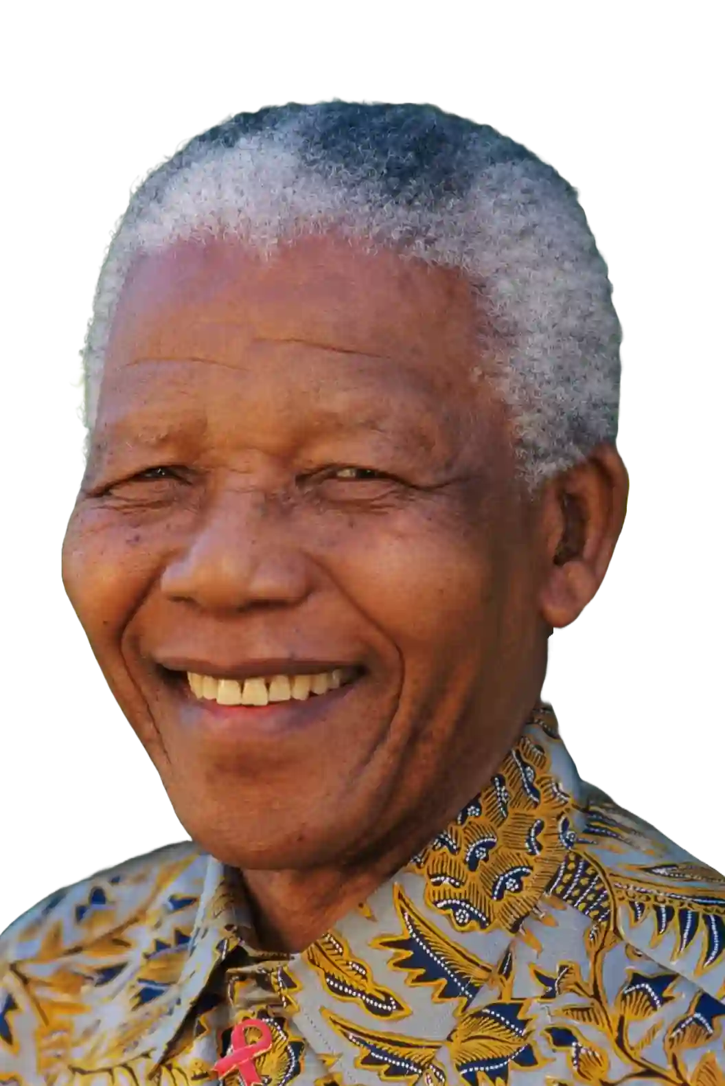 Portrait of Nelson Mandela